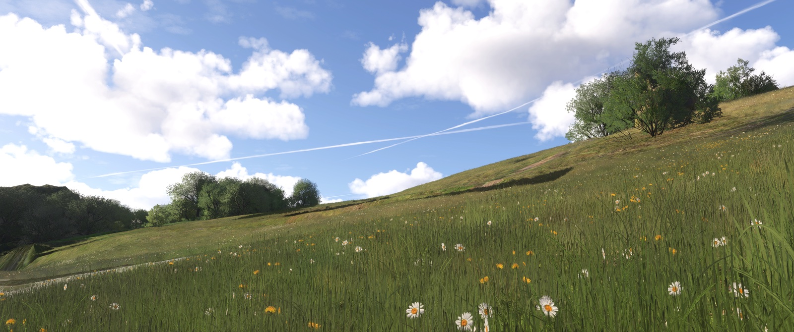 A sunlit landscape in Microsoft Flight Simulator